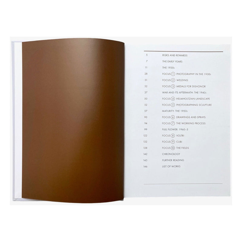 David Smith: Phaidon Focus by Joan Pachner